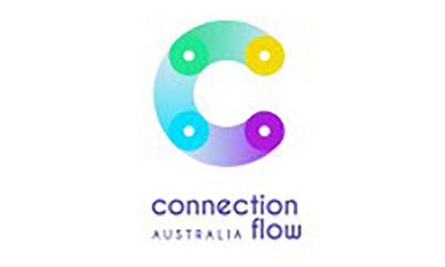 connection-flow-logo